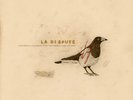 La Dispute - Somewhere At The Bottom Of The River Between Vega And Altair Vinyl