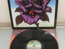 Thin Lizzy - Black Rose (A Rock Legend)