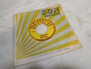 Elvis Presley   Mystery Train / I forgot to remember to .. SUN # 223 with sleeve