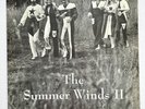 * SUMMER WINDS II Private  LOUNGE PSYCH JAZZ FUNK Sound Collage LP Hear