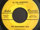 Rare 1967 Texas Garage Psych  ASKEL 112 45 THE REMAINING FEW In The Morning VG
