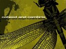 Coheed And Cambria - The Second Stage Turbine Blade LP - vinyl NEW