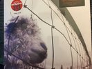PEARL JAM - Vs LP 30th Anniversary Clear Vinyl Limited Edition New