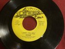 I Want You Girl/ Most Important Thing-Sugar 1973 True Soul Records 45 Vinyl