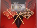Beach Boys ‎– Still Cruisin'  (VG+)