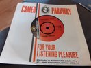 Chubby Checker - Everything's Wrong Northern soul