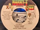 Tynsi & Earl Flute It's Okay 45 Rare Reggae HEAR IT  Earl Chinna Smith Tuff Gong