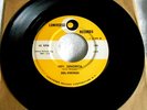 DEL-VIKINGS Hey Senorita Over the Rainbow 45 Luniverse 106 doo wop EX original