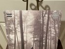 Taylor Swift Folklore 