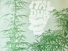 Augustus Pablo - Ital Dub (LP, Album, RE)