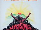 Bob Marley The Wailers - Uprising Vinyl, LP Album - Tuff Gong ILPS 19596 - 1980