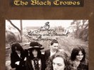 The Black Crowes The Southern Harmony And Musical Companion (Vinyl)