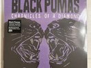 BLACK PUMAS – CHRONICLES OF A DIAMOND - SPOTIFY EXCLUSIVE LTD EDITION VINYL - A8
