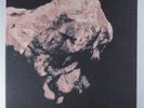 PIXIES Death To The Pixies 4AD 4X10
