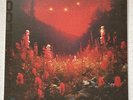 Silent Planet Superbloom Void Iris Variant Vinyl LP NM/Mint Condition Sold Out