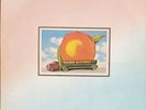 Allman Brothers Band 