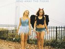 Manic Street Preachers - Send Away The Tigers (2xLP, Album, RE, RM) (Very Good P