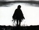 Neil Young Harvest Moon (Vinyl LP) 12