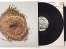 Wilco Vinyl A Ghost Is Born 2XLP 2005 Nonesuch Rhino Gatefold First Pressing