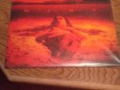 Dirt by Alice in Chains (Record, 2010)