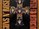 Appetite For Destruction, Guns N' Roses, LP VINYL