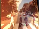 The Beatles 'Abbey Road' Return NW8 Fan Club Copy Belgium 1982  £29.99
