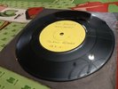 Pete Shelley – Homosapien 1 Sided White Label Promo Buzzcocks EX 7