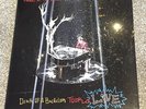 Panic  at the Disco ALL MY FRIENDS WE'RE GLORIOUS Death of a Bachelor LIVE Vinyl