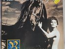 Alannah Myles-Rockinghorse LP 1992 Germany Song Instead of a Kiss, Tumbleweed NM