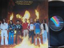 Lynyrd Skynyrd ORIG OZ LP Street survivors NM ’77 MCA 3029 Southern Rock