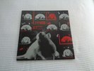 Live at The Rat - Rat Records 12