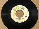 The Heptones - Meaning Of Life