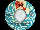 Garage Psych 45 - Sounds Of Tyme - To Understand Mankind - Bowmar - VG+
