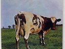 PINK FLOYD ATOM HEART MOTHER EMI EMS80320 JAPAN VINYL LP