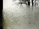 Bon Iver 