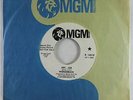 Psych 45 - Wonderlick - Hey, Joe - MGM - VG+