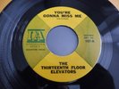 The Thirteenth Floor Elevators - You're Gonna Miss Me 1967 USA 45 IA PSYCH