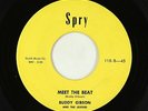 Rock & Roll 45 - Buddy Gibson & The Jesters - Meet The Beat - Spry