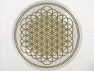 Bring Me The Horizon Sempiternal: 10th Ann Picture Disc Vinyl LP 2023 NEW