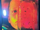 Alice In Chains -  Jar Of Flies / Sap LP Vinyl - Repress - Rare