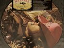 Madonna Music Limited Edition 12