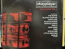 OKAYPLAYER - TRUE NOTES VOL 1 (VINYL 2LP)  2004   RARE   THE ROOTS + MADLIB