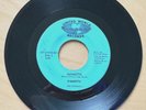 MAMMOTH Texas Garage Band Heavy Psych 7