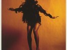 LAST SHADOW PUPPETS, The - Everything You've Come To Expect - Vinyl (LP)