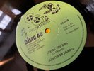 LOVING YOU GIRL JUNIOR DELGADO  ROOTS REGGAE 12