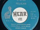 Crude Oddball FL Rockabilly Bopper Bluegrass 45 JOHNNY BANJO Hound PELICAN rare