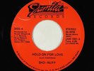 Modern Soul Boogie 45 - Sho-Nuff - Hold On For Love - Jamila