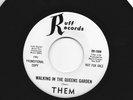 GARAGE FUZZ PSYCH 45 - THEM - WALKING IN THE QUEENS GARDEN  - HEAR -1967 DJ RUFF