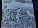 Horna / Woods Of Infinity  - 7'  - black metal--satanic warmaster