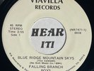 Private VA Bluegrass Bopper Hook 45 FALLING BRANCH BOYS Blue Ridge VIAVALLA hear